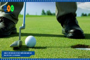 Bài tập đẩy bóng