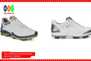 Chọn giày chơi golf