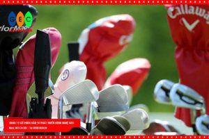 Chọn gậy golf phù hợp