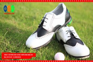 Cách chọn giày golf