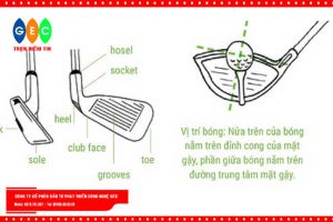 Gậy golf
