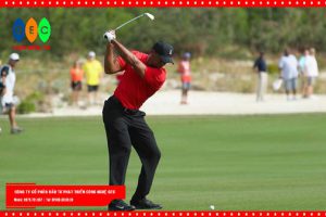 Gậy golf cán sắt