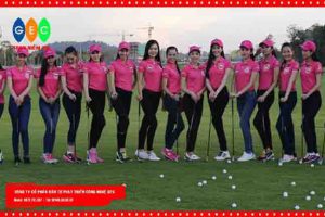 Gậy golf honma 2 sao