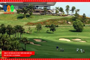 Sân Golf