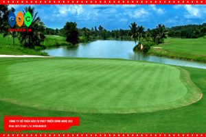 Sân Golf