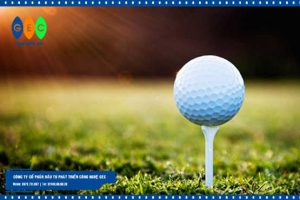 Tự học đánh golf