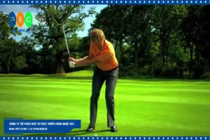 kỹ thuật pitching