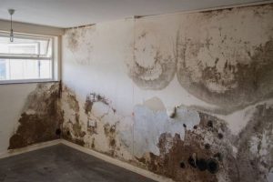 Cách chống ẩm tường cho nhà